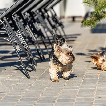Family Medvalakis Lejlighed