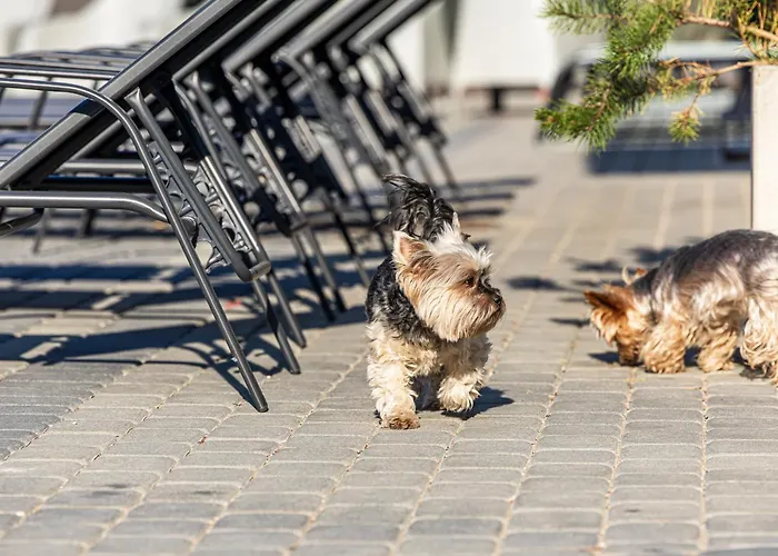 Family Medvalakis Apartman